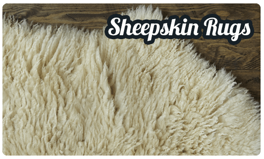 Sheepskin Rug Cleaning